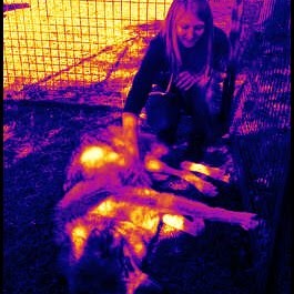 Jennifer Poindexter Photo 19