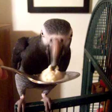 Richard Rust Photo 37