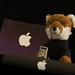 Steve Fox Photo 9