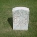 James Grover Photo 27