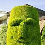 Marilyn Short Photo 15