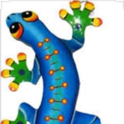 Dawn Brewer Photo 12