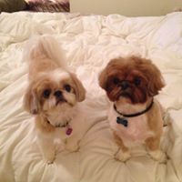 Ann Callaghan Photo 7