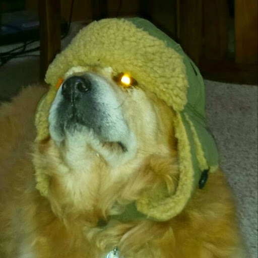 Jay Saunders Photo 15