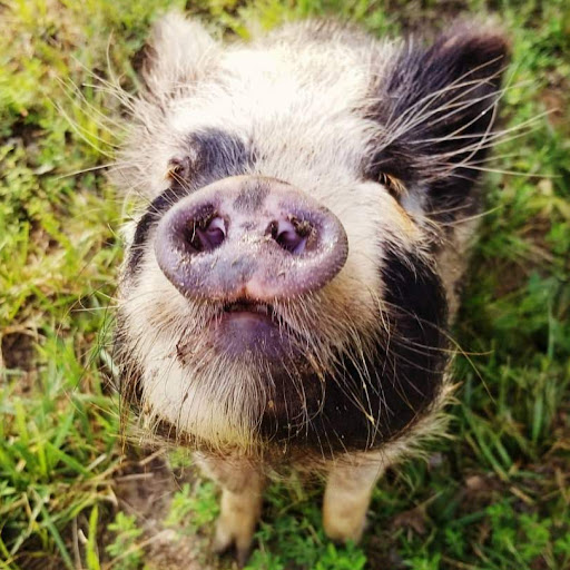 Abby Edwards Photo 8