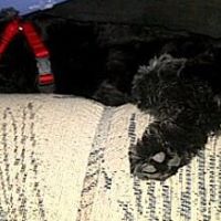 Andrew Tracy Photo 38