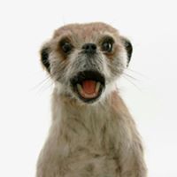 Gerald Olson Photo 38