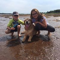 Krista Carey Photo 22