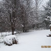 Sarah Hembree Photo 7