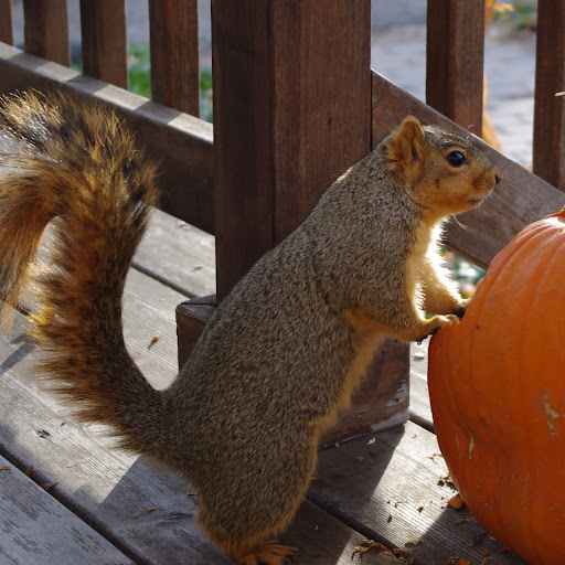 Shannon Fitzpatrick Photo 31