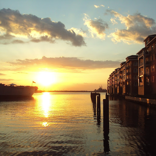 Eric Sterling Photo 21 Eric Sterling Photo 21