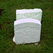 William Myers Photo 12