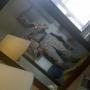 William Rodriguez Photo 31