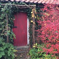 Kathleen Shirley Photo 8