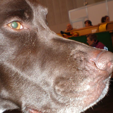 James Lavery Photo 9