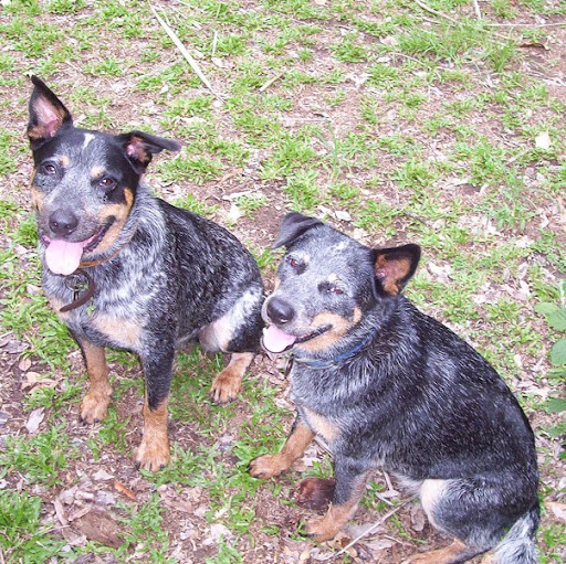 Sylvia Sharp Photo 35