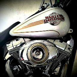 Stephen Reagan Photo 12