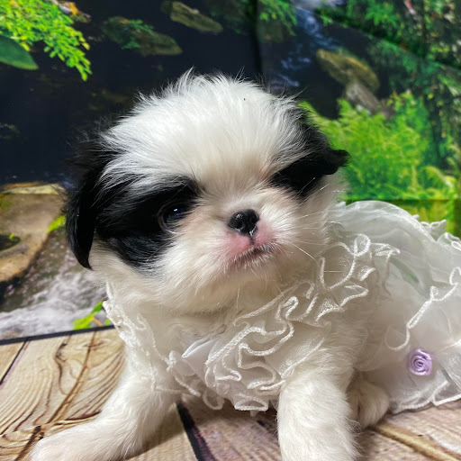 Barbara Collins Photo 16 Barbara Collins Photo 16