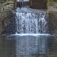 Lewis Morris Photo 22