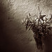 Margaret Heath Photo 12