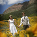 Annie Randall Photo 4