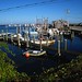 Martha Harbour Photo 5