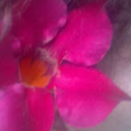 Stacy Gibson Photo 19