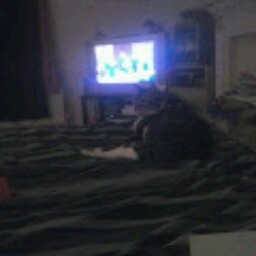 Charlotte Gray Photo 39