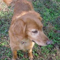 Sara Langston Photo 11