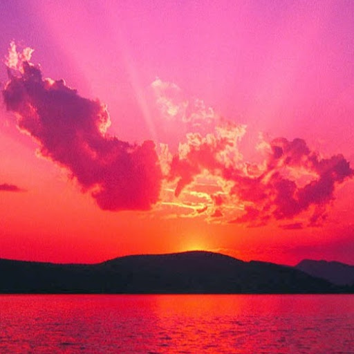 Chris Nicholson Photo 39 Chris Nicholson Photo 39