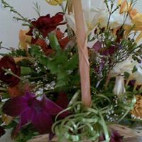 Anne Ashley Photo 29