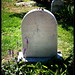 Susan Graves Photo 49