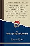 On The Water Relations Of The Coconut Palm (Cocos Nucifera); On The Oil Produced From The Nuts; The Factors Entering Into The Rancidity Of The Oil, ... Insects Attacking The Trees (Classic Reprint)