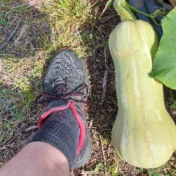 Scott Hurley Photo 35