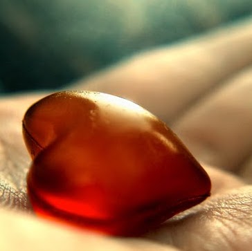 Marcus Potter Photo 6