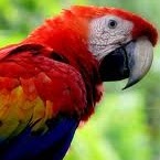 Julianna Wolff Photo 2