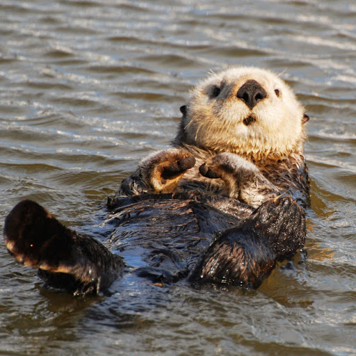 Victoria Cavanaugh Photo 9