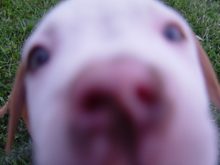 Maureen Ward Photo 22