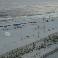 Teresa Prince Photo 28