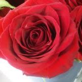 Carolyn Withrow Photo 19