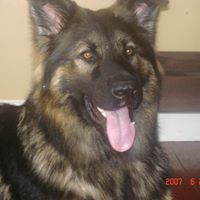 Gail Levesque Photo 13