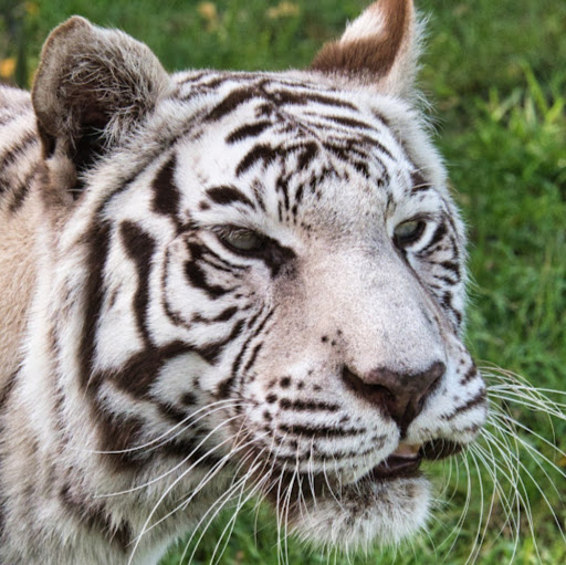 Hazel Young Photo 25