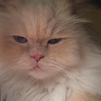 Wendy Larson Photo 36