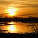 Karen Marsh Photo 39