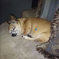 Nancy Boggs Photo 8