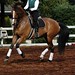 Karen Rider Photo 23