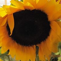 Stephanie Parrish Photo 12