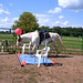 Renee Wilkerson Photo 23