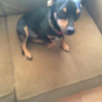 Terri Patrick Photo 25