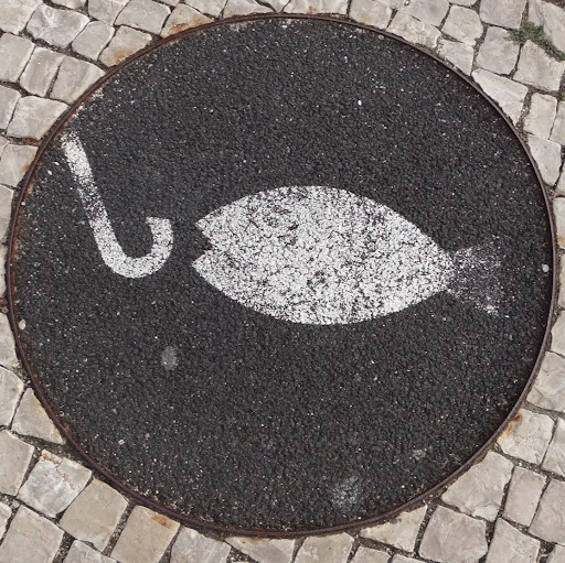 Stephan Wagner Photo 14